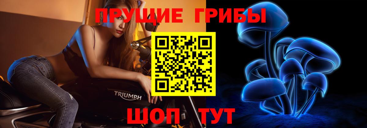 Подольск  Псилоцибиновые грибы ЛСД  Вход с VPN 